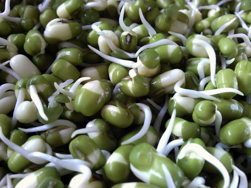 Green Beans